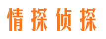 贵池出轨调查